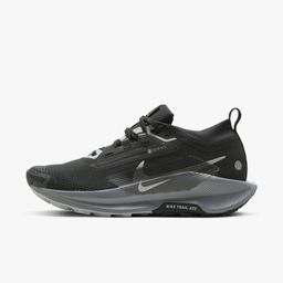 NIKE PEGASUS TRAIL 5 GTX mujer
