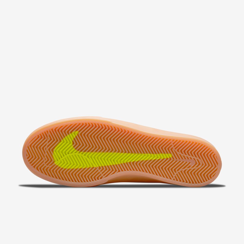 Nike SB Shane T - Calzado | Nike Chile